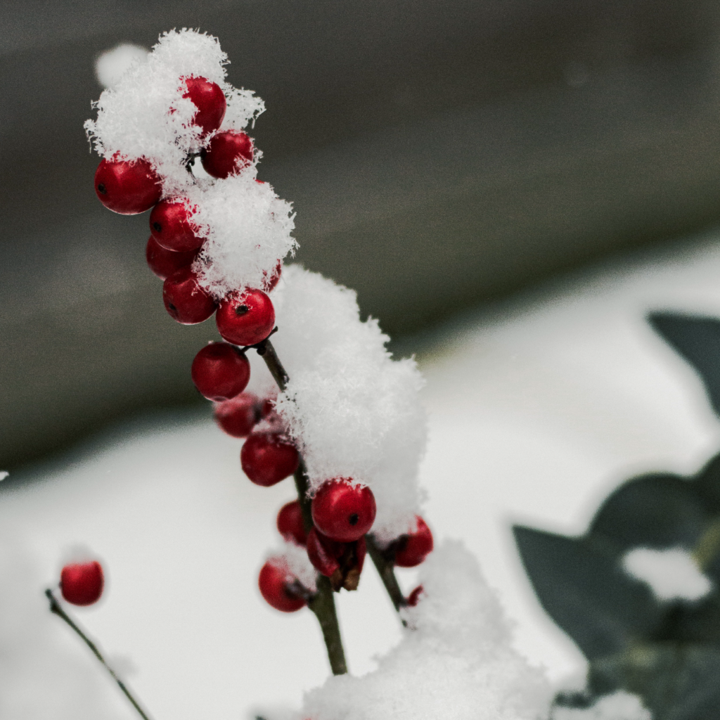 Zauberhafte Stunden im Kerzenschein